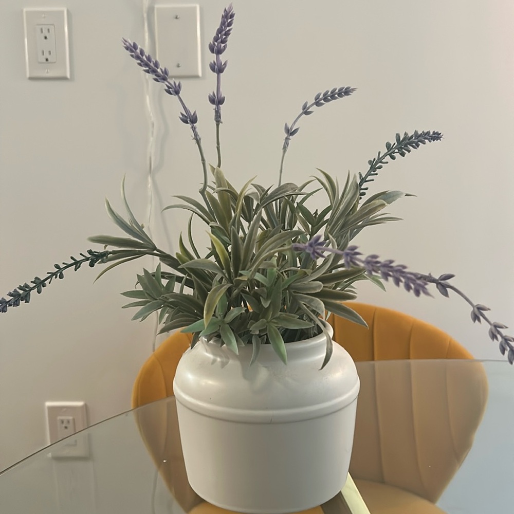Artificial Plant